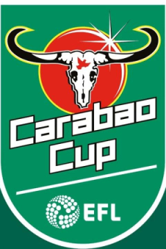 Сериал Ньюкасл Юнайтед &mdash; Брентфорд